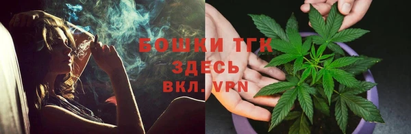 ПСИЛОЦИБИНОВЫЕ ГРИБЫ Арсеньев