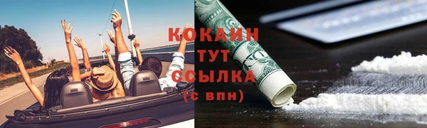 ПСИЛОЦИБИНОВЫЕ ГРИБЫ Арсеньев