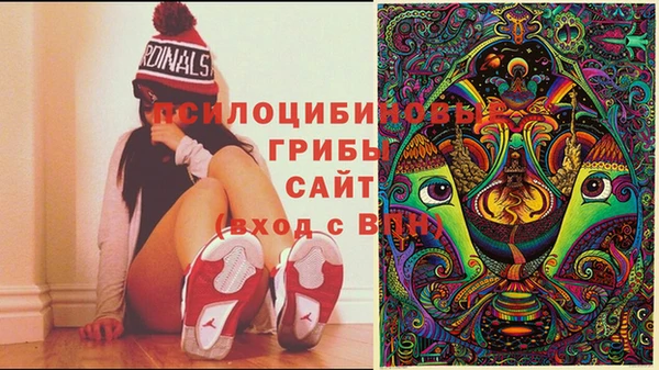 ПСИЛОЦИБИНОВЫЕ ГРИБЫ Арсеньев