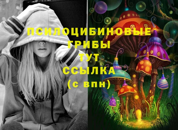 ПСИЛОЦИБИНОВЫЕ ГРИБЫ Арсеньев