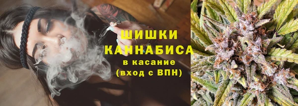 ПСИЛОЦИБИНОВЫЕ ГРИБЫ Арсеньев
