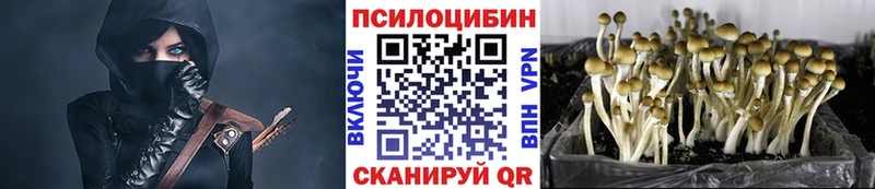 где купить наркотик  Жуковка  Галлюциногенные грибы мухоморы 
