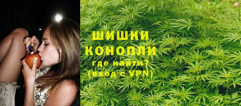 Шишки марихуана OG Kush  что такое   Жуковка 